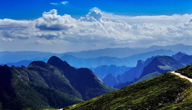 【情形；；ぁで亓胛ソā壳亓胛ソū鹗:总书记扭住不放才得以彻底整治